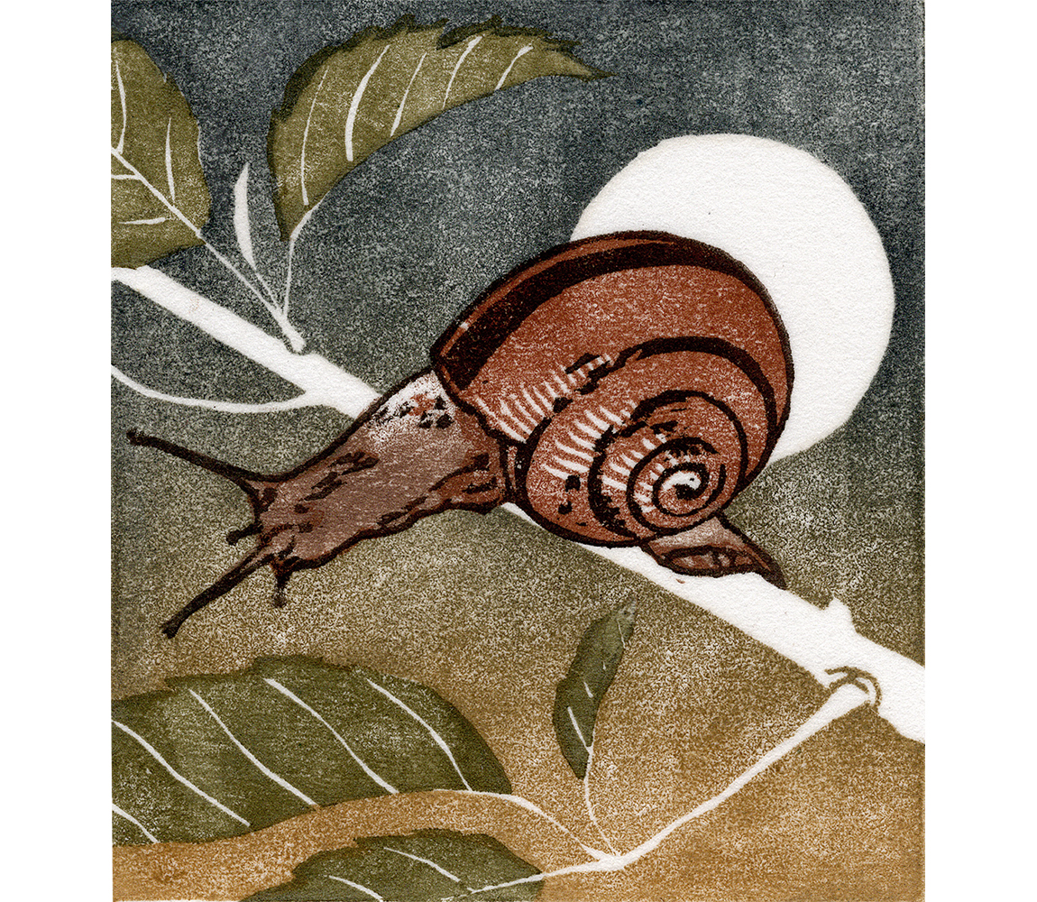 “Half Moon” - Kristen Etmund